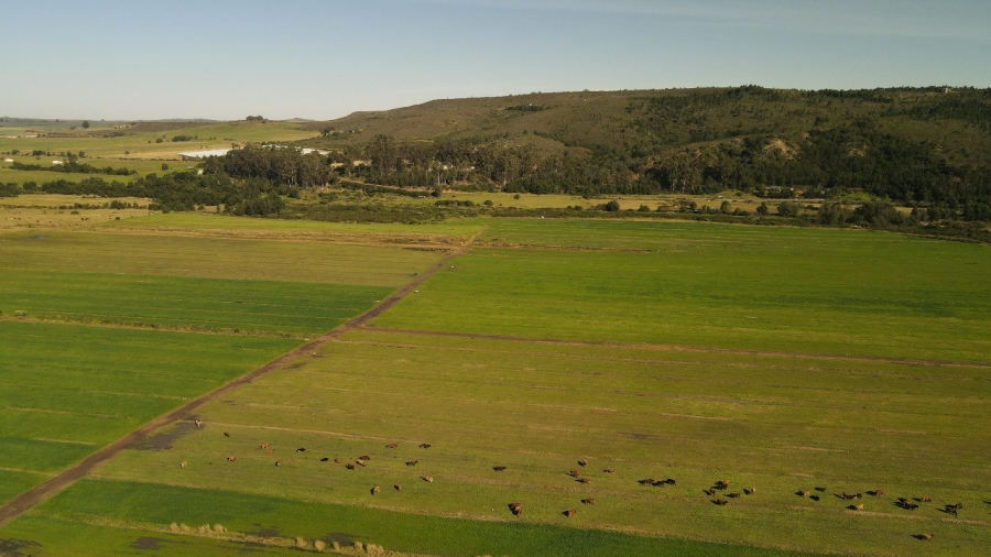 6 Bedroom Property for Sale in Riversdale Rural Western Cape